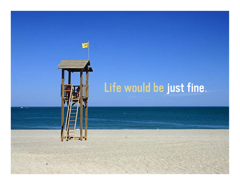 Slide 13: Life would be just fine.