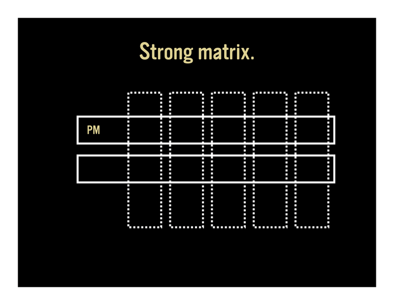 Slide 19: Strong matrix. [Diagram showing dotted line vertical boxes depicting teams with PM in one of them and horizontal solid line boxes cutting across the verticals]