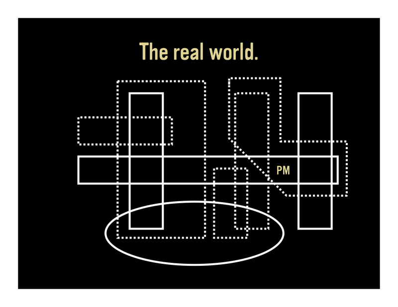 Slide 21: The real world. [Diagram depicting a chaotic soup of boxes and lines with PM somewhere inside]