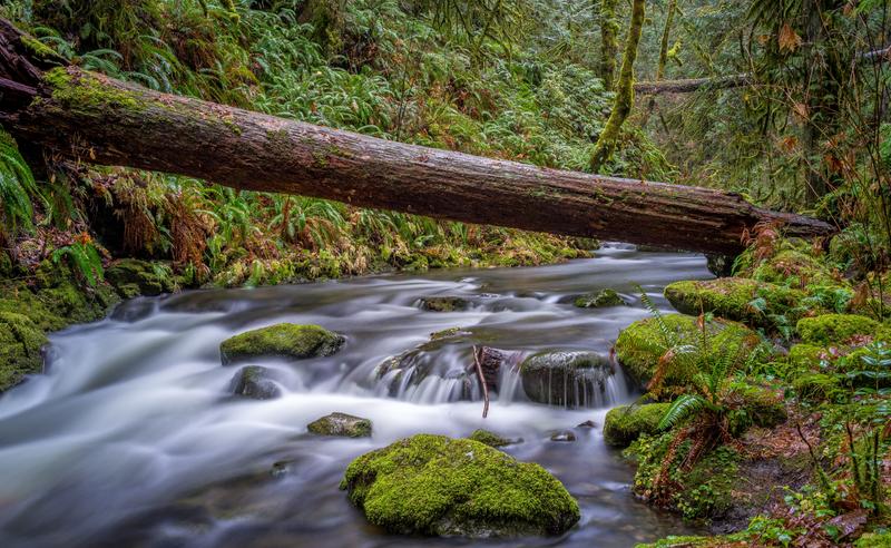 Photo: Water flowing