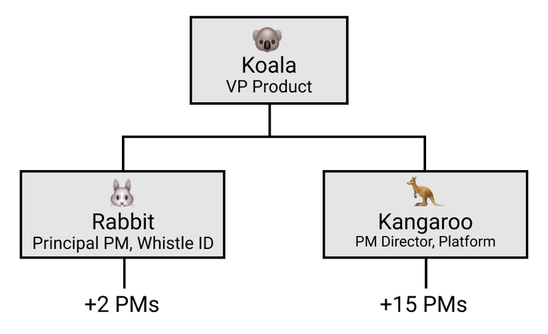 [Org chart showing Koala (VP Product) and Rabbit (Principal PM) and Kangaroo (Director)]